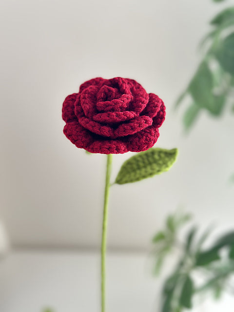 Crochet Rose | Forever Flower Gift | Valentine’s Day Rose | Knitted Rose | Romantic Handmade Gift